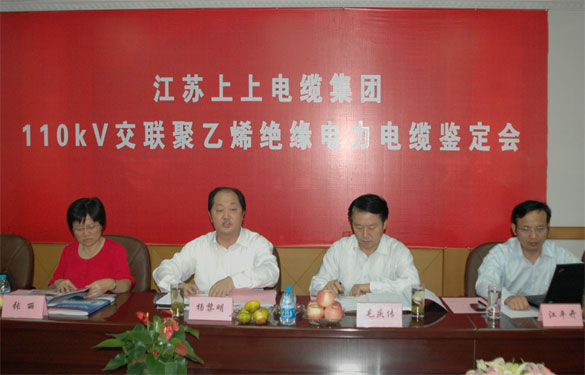 mg冰球突破额定电压110kV交联聚乙烯绝缘电力电缆产品通过判断