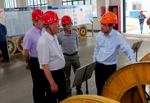 2016年5月14日，，，，宁夏回族自治区人民政府研究室副主任苏昀一行来mg冰球突破电缆调研