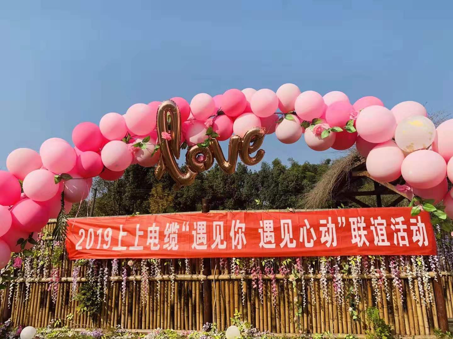 遇见你?遇见心动——mg冰球突破电缆乐成举行2019年只身青年联谊活动