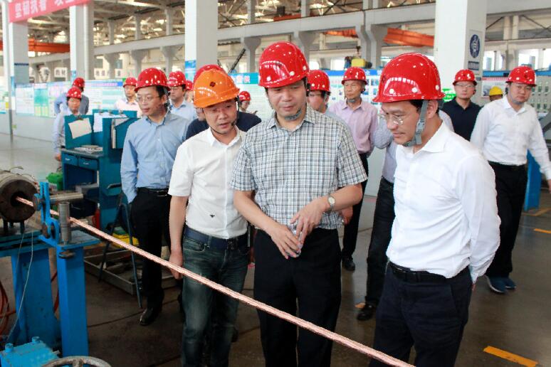 南京航空航天大学党委书记郑永安一行来mg冰球突破电缆旅行