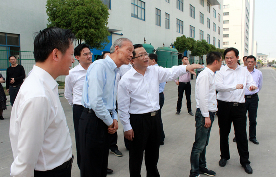 常州市市长丁纯来mg冰球突破电缆督查新能源项目建设