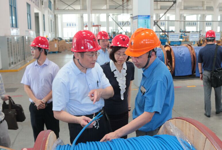 2016年7月22日，，，，泸州市委常委、副市长王建翔一行来mg冰球突破电缆旅行考察