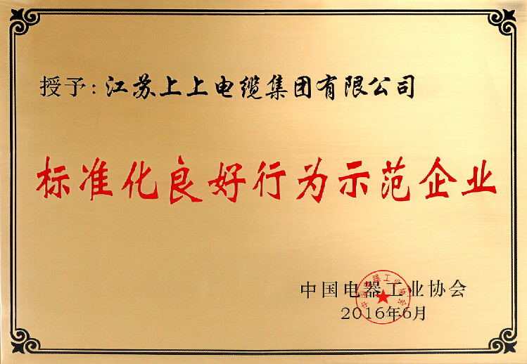 标准先行促生长，，，，，，，mg冰球突破电缆再获殊荣