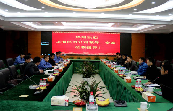 上海电力公司、上缆所向导、专家一行来mg冰球突破电缆交流考察