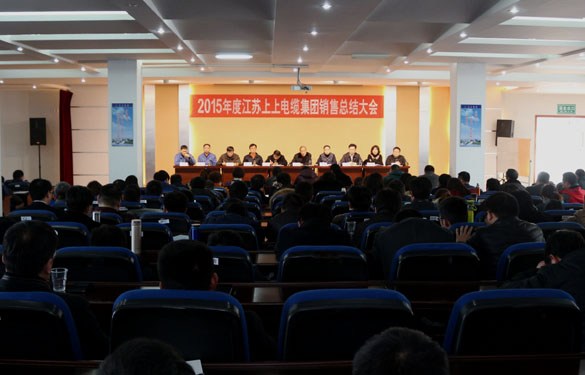 mg冰球突破召开2015年度销售总结大会