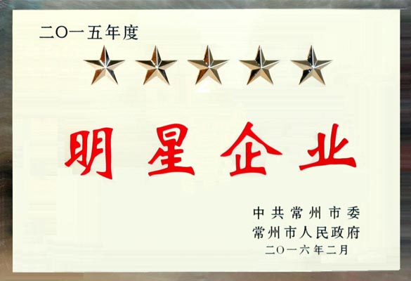 mg冰球突破电缆在常州市“重大项目推进年”发动大会上再次载誉而归