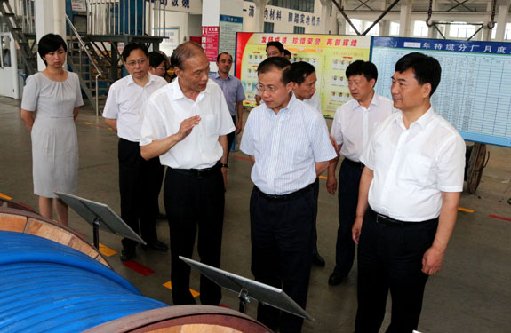 江苏省副省长傅自应来mg冰球突破集团视察