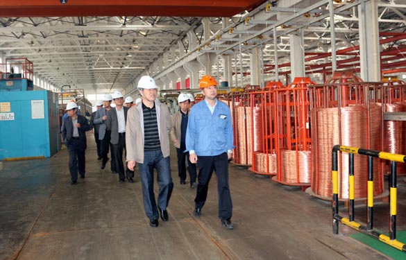 2015年11月3日，，，，，，，，新泰市党政代表团来mg冰球突破电缆考察