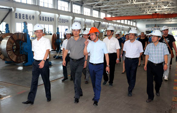 浙江省海盐县党政代表团来mg冰球突破电缆旅行考察