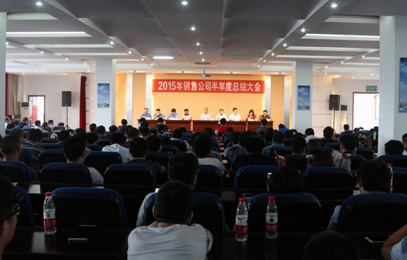 mg冰球突破电缆召开2015年销售事情半年度总结会