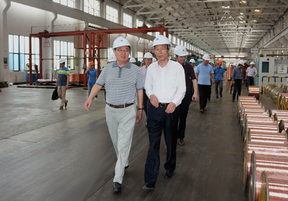 中国恒天集团董事长张杰一行来mg冰球突破电缆旅行考察