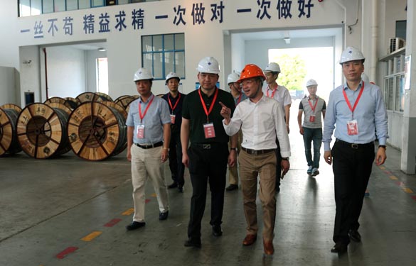 靖江市、溧阳市青商会齐聚mg冰球突破电缆旅行交流