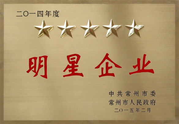 mg冰球突破电缆在常州市“重大项目深化年”发动大会上载誉而归