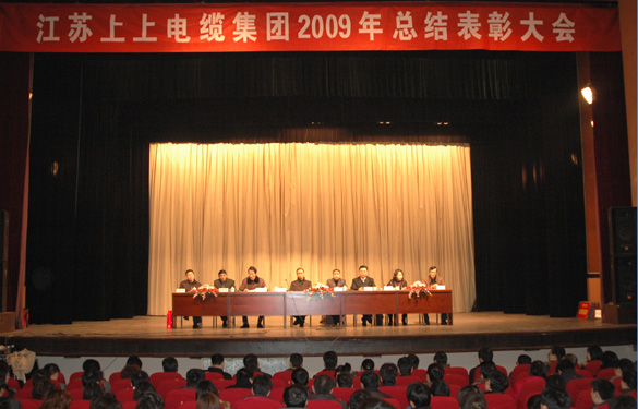 mg冰球突破盛大召开2009年度总结表扬大会
