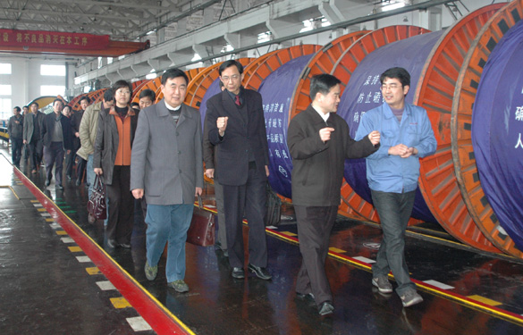 常州市人大向导一行20余人来mg冰球突破集团旅行指导