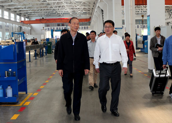 武进区党政代表团来mg冰球突破集团旅行考察