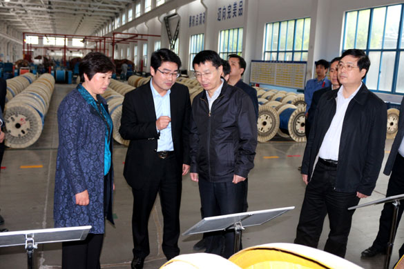 巢湖市委副书记张生一行来mg冰球突破集团旅行考察