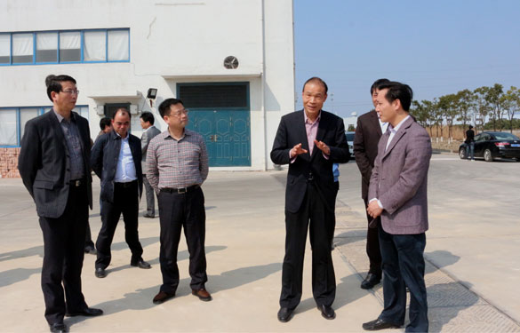 溧阳市代市长蒋锋一行来mg冰球突破集团督查新开工项目