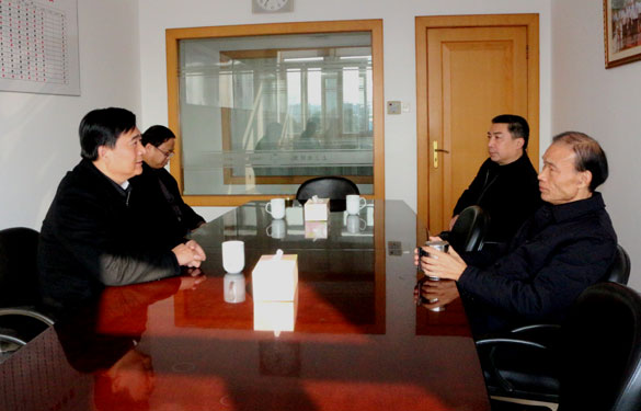 溧阳市委书记盛建良来mg冰球突破调研