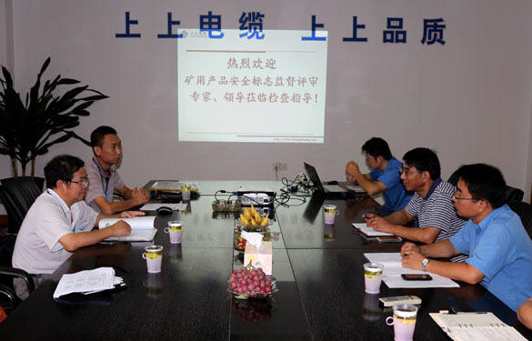 mg冰球突破顺遂通过安标现场监视评审