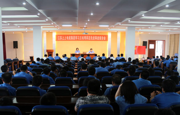 mg冰球突破集团召开党员大会暨学习王松明同志先进事迹报告会