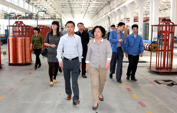 江苏省环保厅总工程师刘建琳来mg冰球突破集团调研