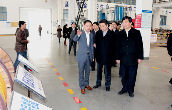 常州市高新区党工委书记张东海一行来mg冰球突破集团调研