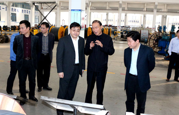 常州市委副书记、市政府党组书记费高云来mg冰球突破集团调研