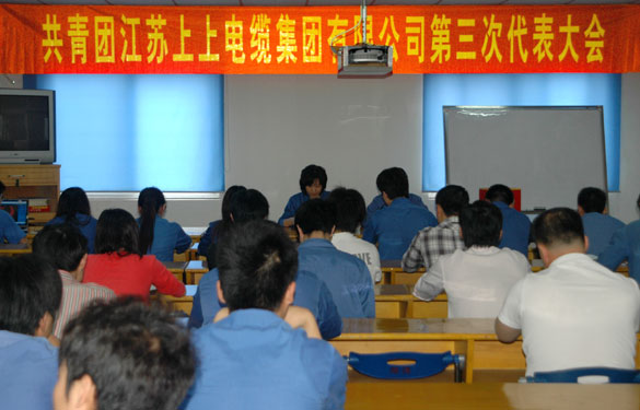 共青团mg冰球突破第三届代表大会暨换届选举大会胜利召开