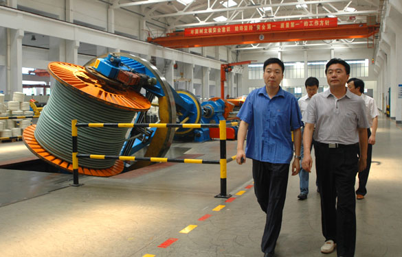 宝应县政协向导一行10余人来mg冰球突破集团旅行考察