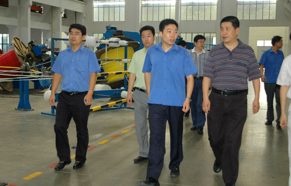 淮南市王市长一行来mg冰球突破旅行考察