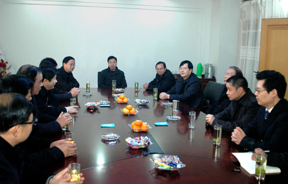 溧阳市代市长苏江华一行来mg冰球突破集团走访