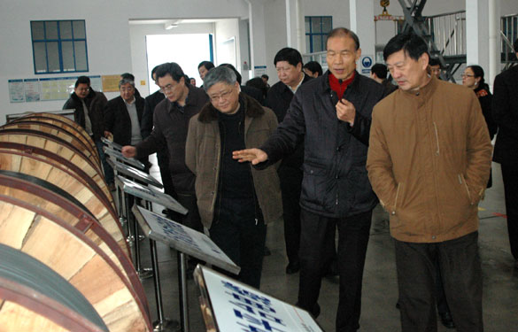 江苏省人大财经事情聚会与会向导来mg冰球突破集团旅行考察