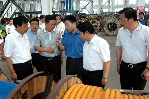 邳州市党政代表团来mg冰球突破集团旅行考察