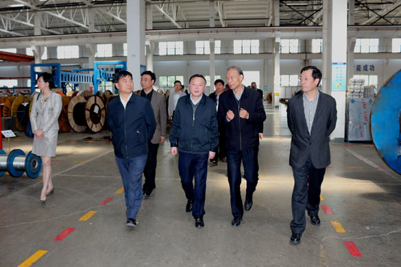 4月23日，，，，，常州市科教城党工委书记徐绚烂一行来mg冰球突破电缆旅行