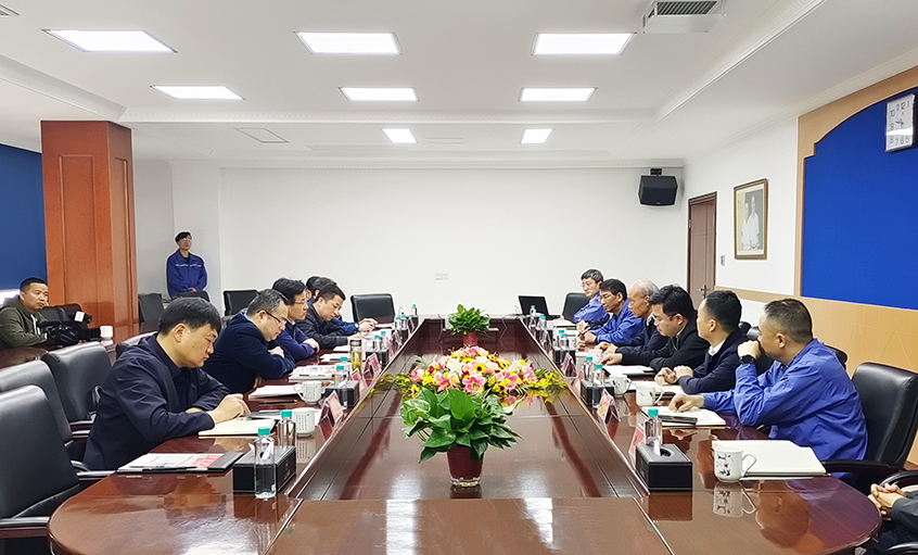 溧阳市市长叶明华来mg冰球突破电缆调研