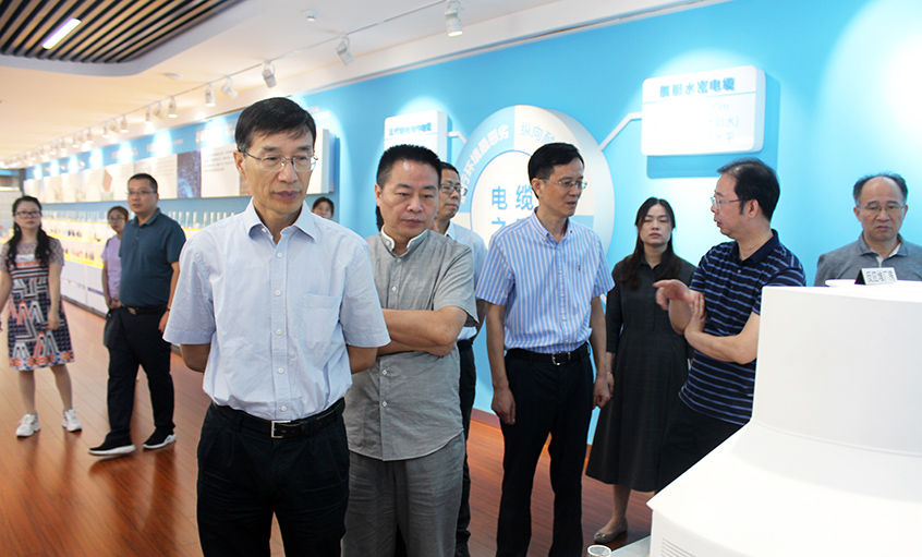 江苏省财务厅一级巡视员李载林一行来mg冰球突破电缆旅行交流