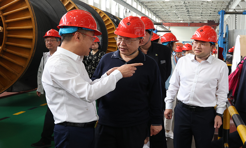 14位两院院士和专家学者到访mg冰球突破电缆