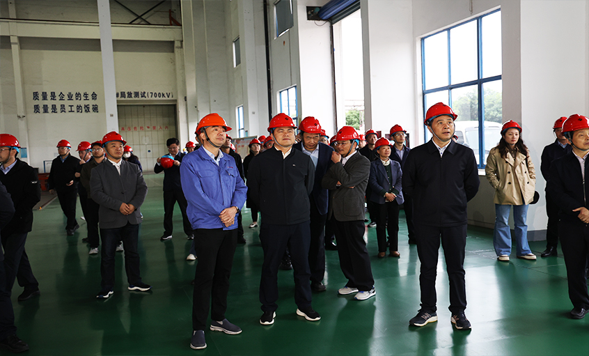 安徽池州青阳县党政代表团一行来mg冰球突破电缆考察