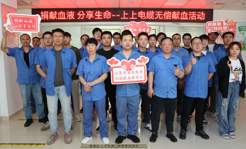 爱心整体献热血 无私贡献传温情 mg冰球突破电缆助力第20个“天下献血者日”
