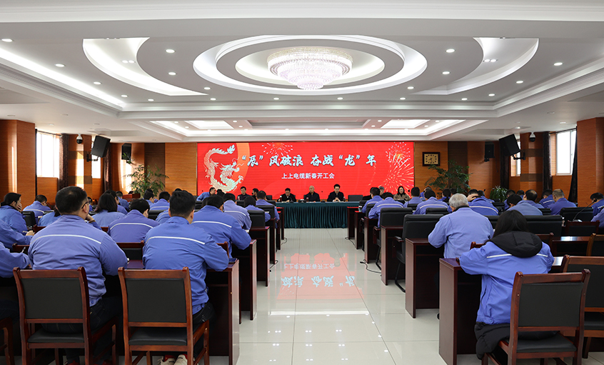 “辰”风破浪，，，奋战“龙”年——mg冰球突破电缆开工大吉