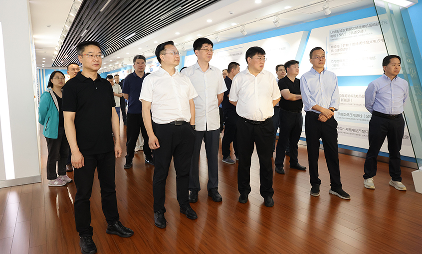 长三角信息化专题组一行来mg冰球突破电缆调研