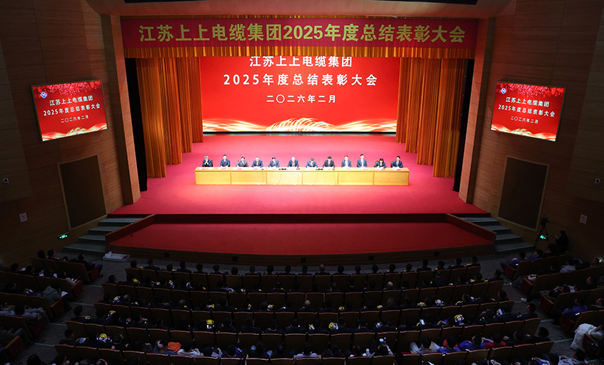 蛇岁留辉启新程 马跃新篇谱华章——mg冰球突破电缆召开2025年度总结表扬大会