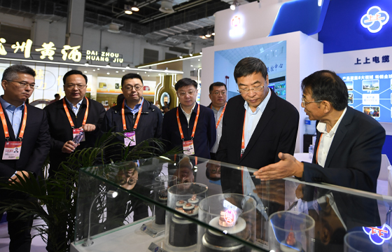 江苏省委常委、常务副省长马欣莅临mg冰球突破展位-2.jpg